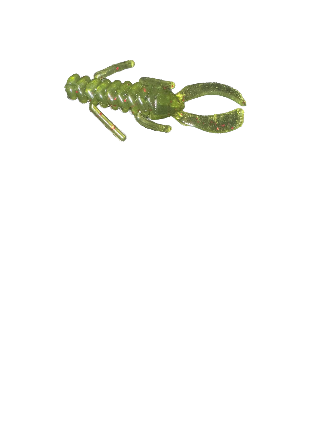 Recon bug