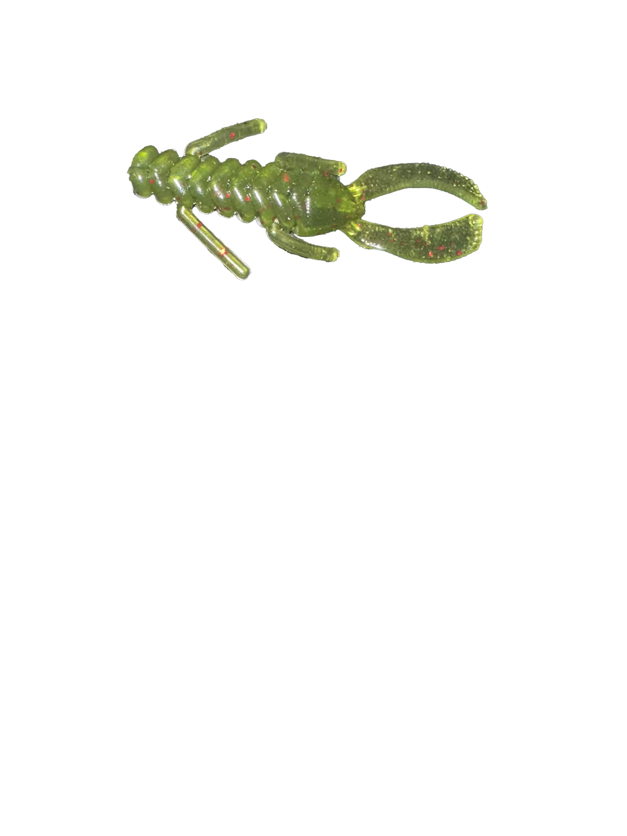 Recon bug